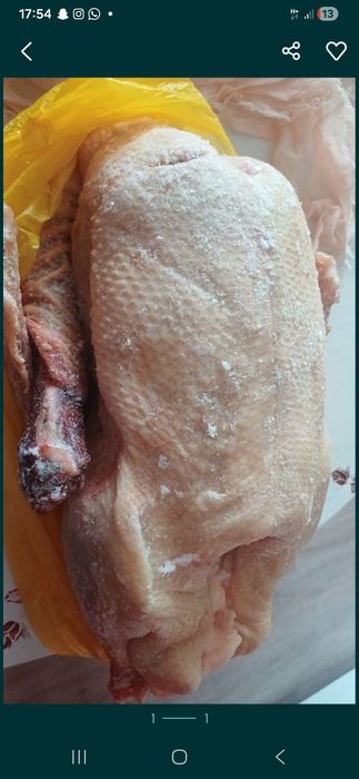 Продам гусей тушками