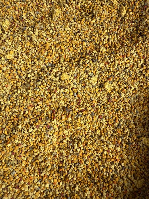 Polen poliflor de vânzare