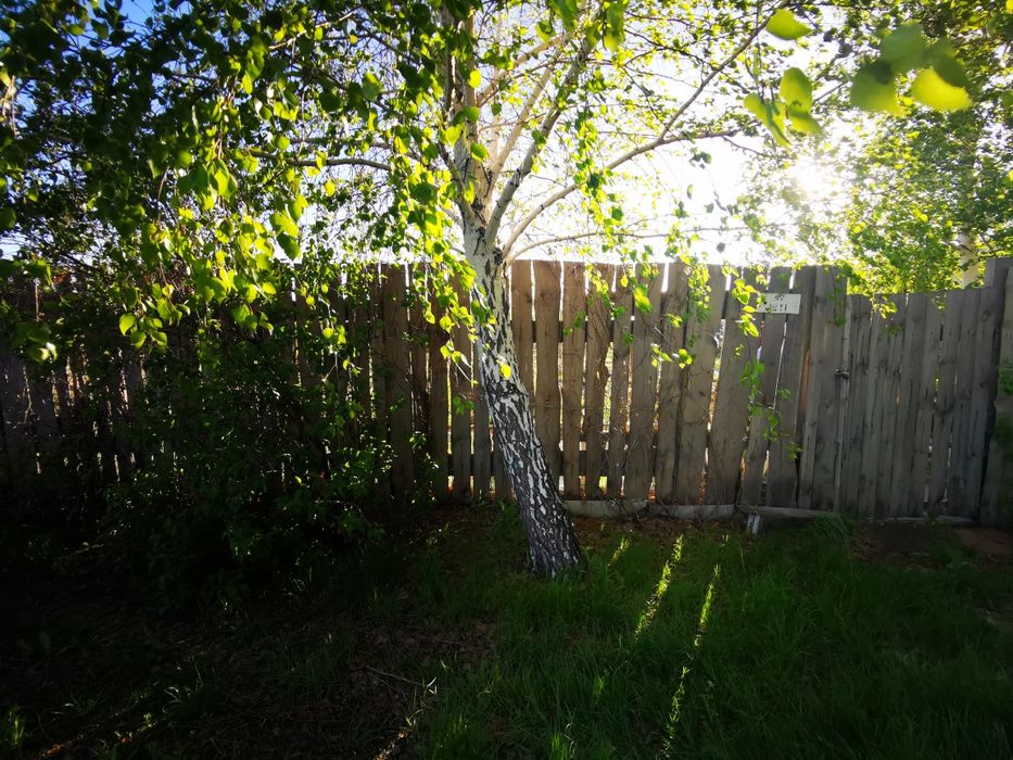 Дача 1 общество 6.5 соток