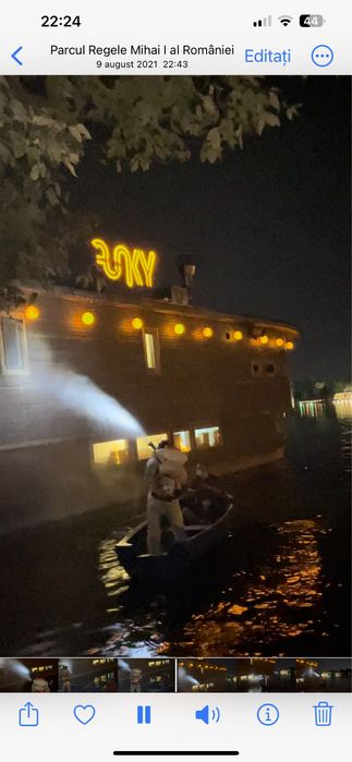 Dezinsecție,deratizare si dezinfecție