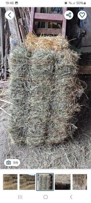 Vând baloti de fan de anu trecut