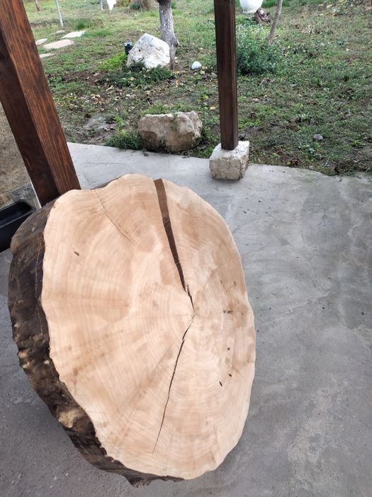 Дървена филия(кръг)