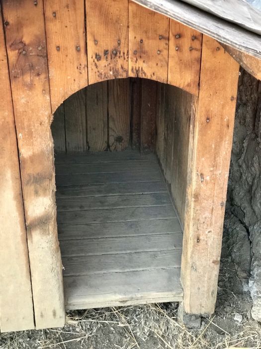 Масивна, голяма кучешка колиба