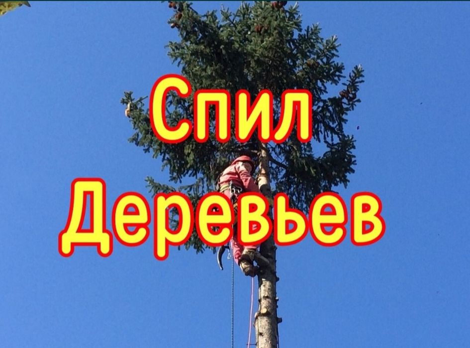 Уборка дач. Убираем дачи. Выкорчевка  деревьев. Спил деревьев. Спилка