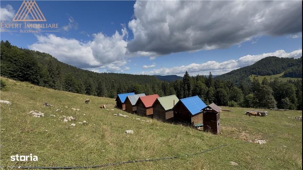 Teren 5ha in Muntii Rarau