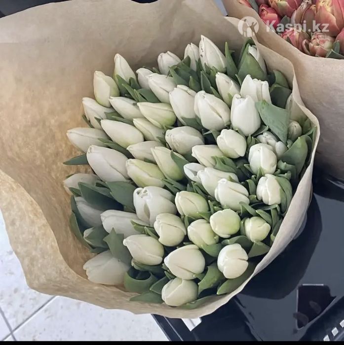 Тюльпаны оптом Алматы !