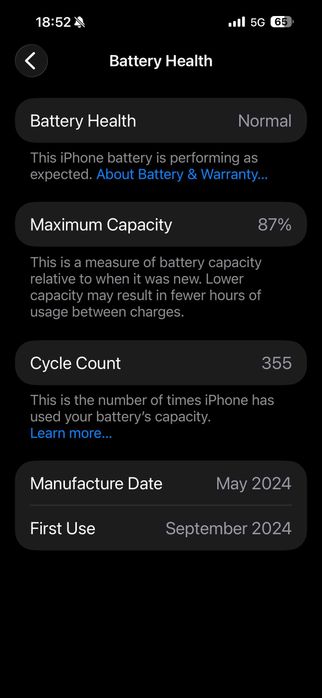 iPhone 15 Pro Max 256GB - White Titanium - гаранция към Istyle до 03.09.2026 / Като НОВ / Пълен комплект + Кейс
