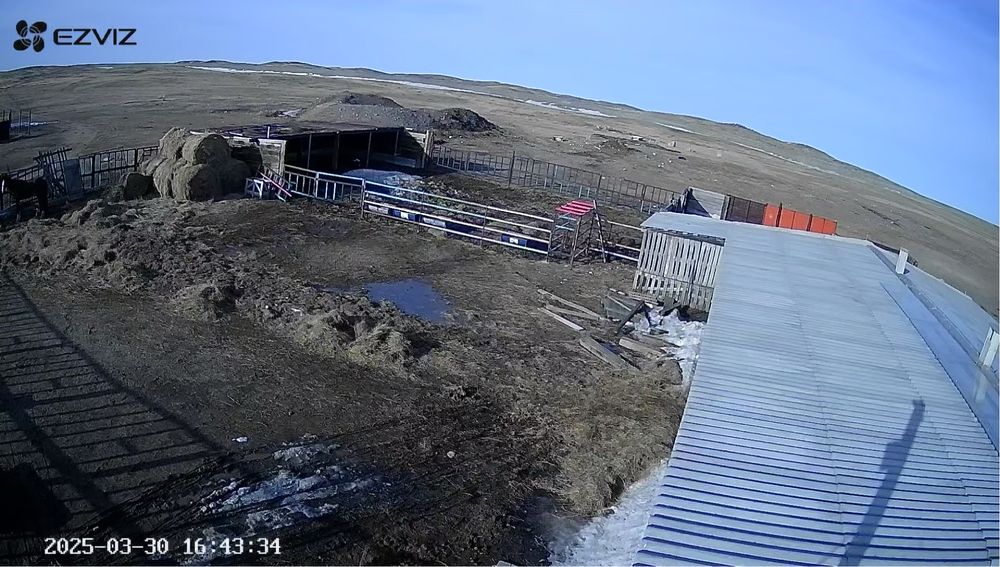 Продается подсобное хозяйство