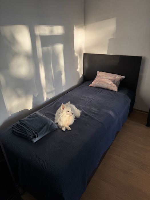 Pat single IKEA MALM negru cu depozitare + saltea inclusă (90x200 cm)