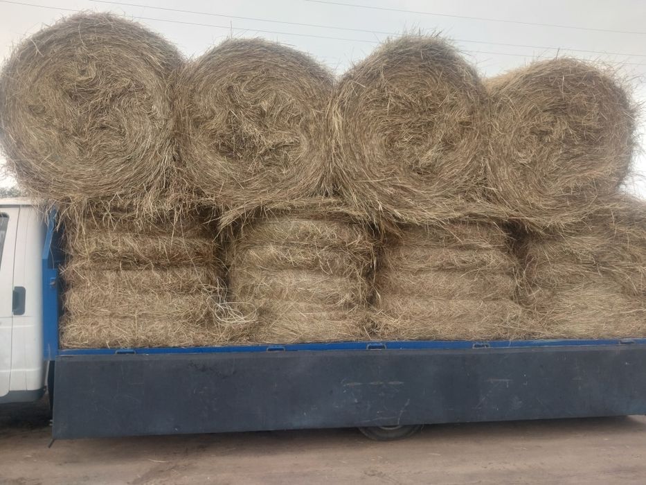 Продам сено в  рулонах 120*120
