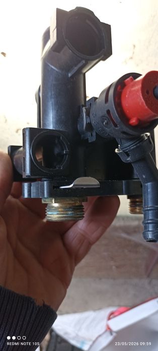 Ariston 30 genus
