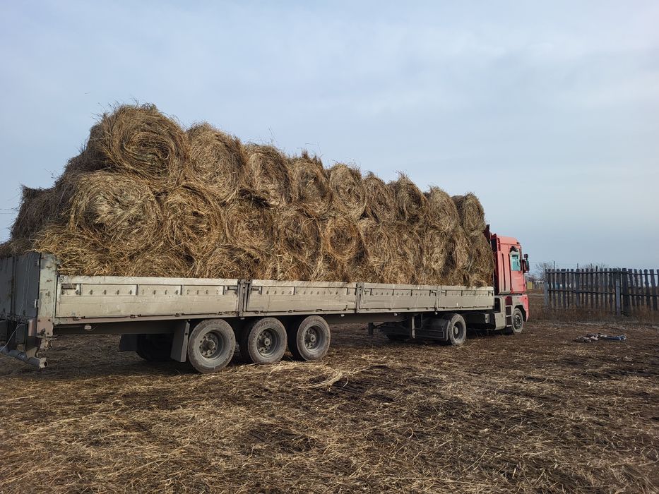 Сено 25 года в рулоне 120×130 ппр 120 луговое