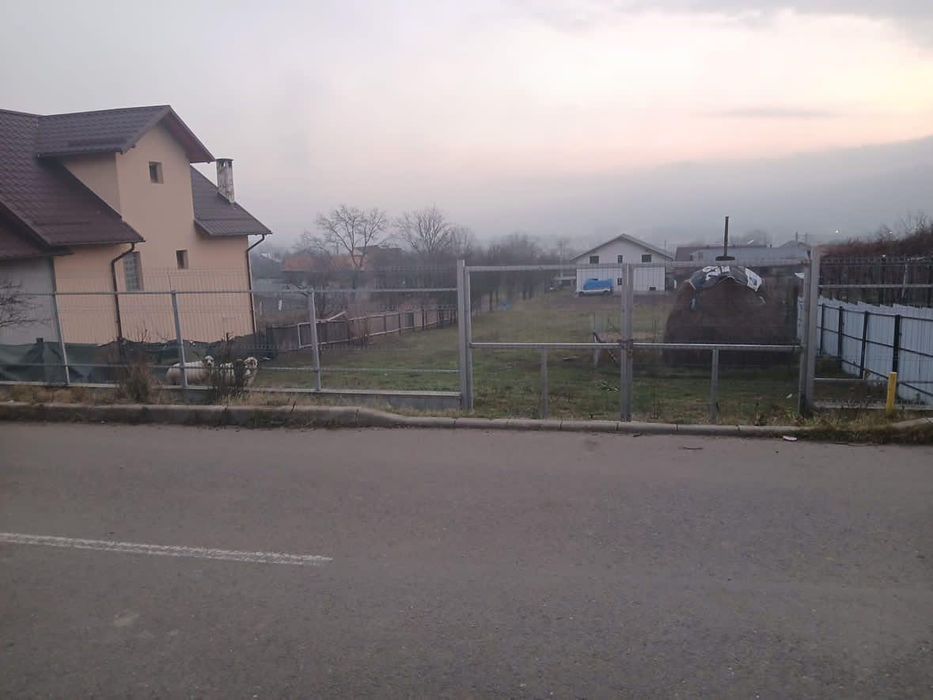 Vând Comănești  Leurda