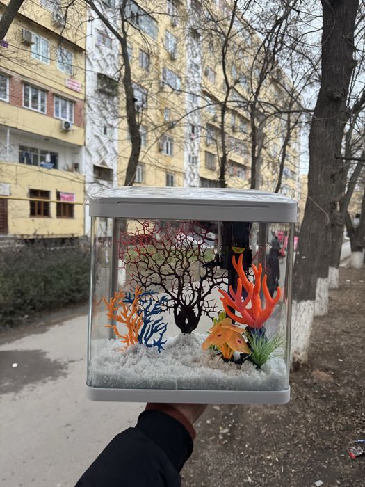 Akvarium kamplektida filtr kislarod va lampalari boladi