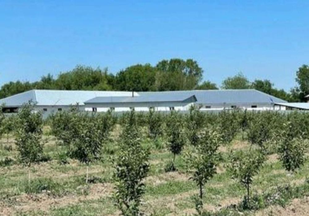 Срочно в аренду сдам земельный участок 1000 гектар