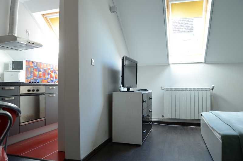 Apartament 1 camera ultarcentral/Teatru, complet mobilat si utilat - 280 euro
