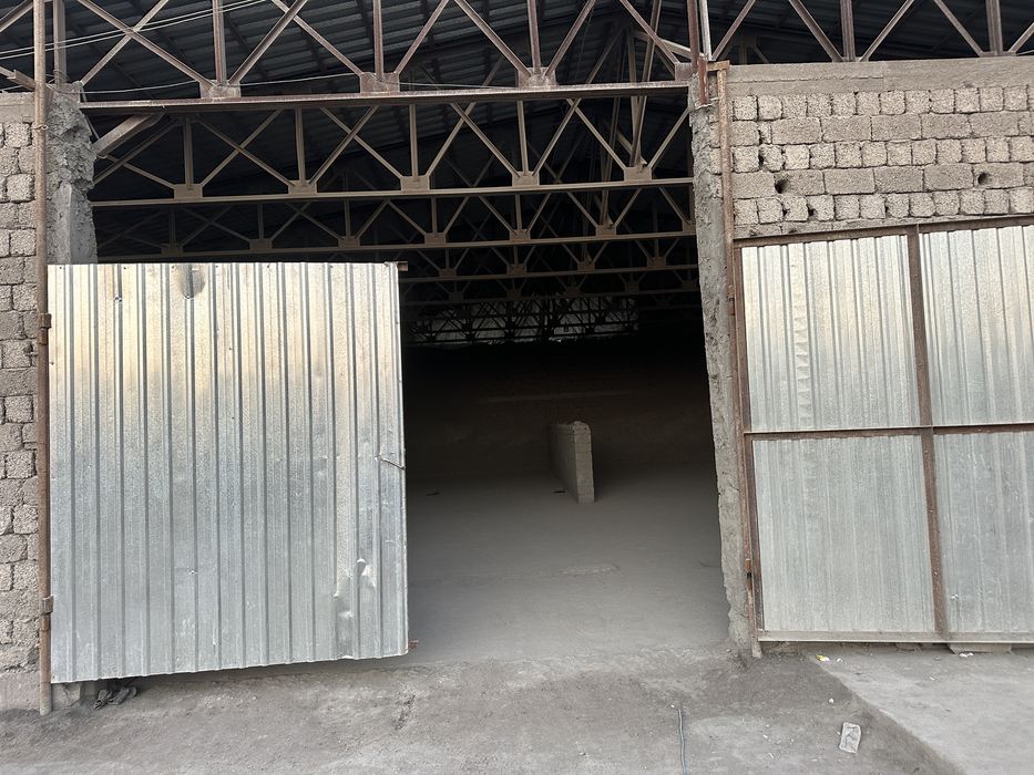 Arendaga Joy boy 255kv,m