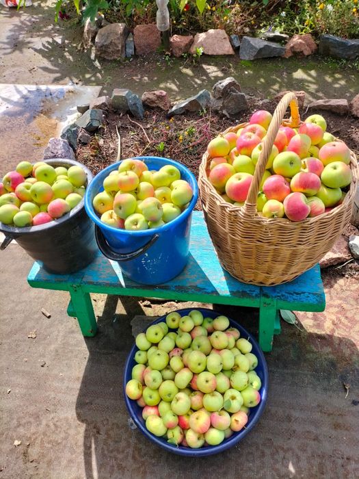 Продам дачу в п.Беловка