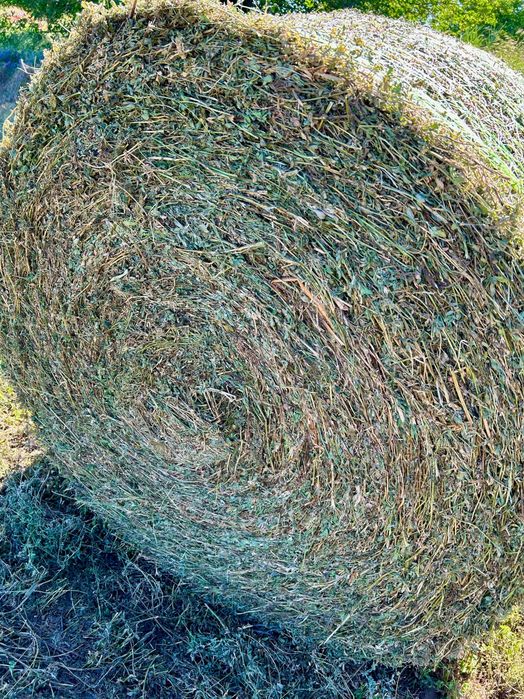 Люцерна / Сено и овес със зърното рулонни бали