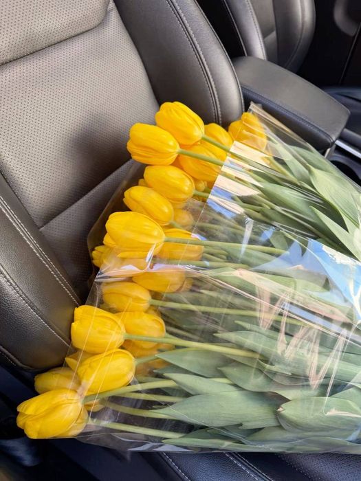 Тюльпаны оптом в Ташкенте