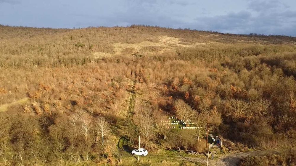 Teren intravilan SEBIS (fosta ferma) 2.200 mp