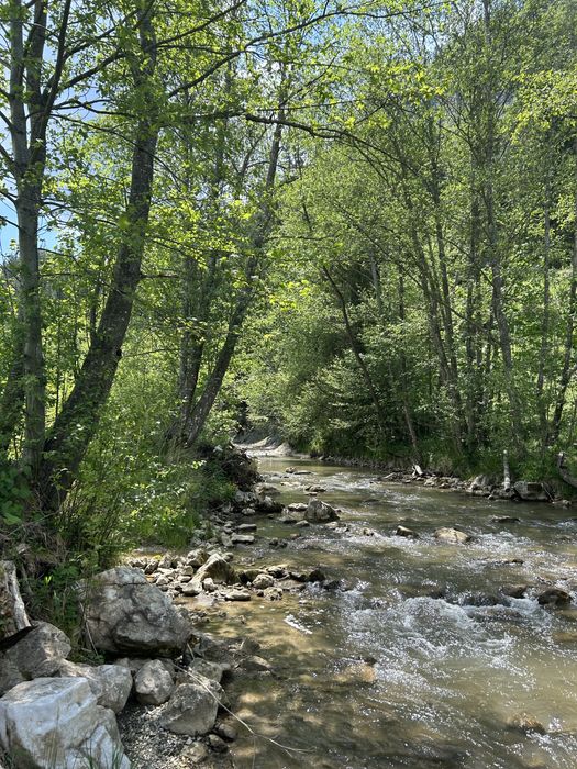 Teren intravilan Trei Fantani