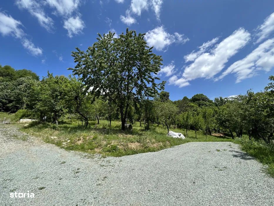 Parcela de 8,86 ari – zona Valea Rosie