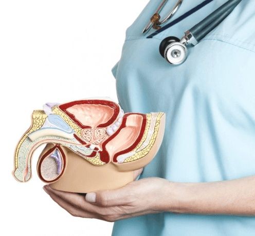 Урологический массаж простаты