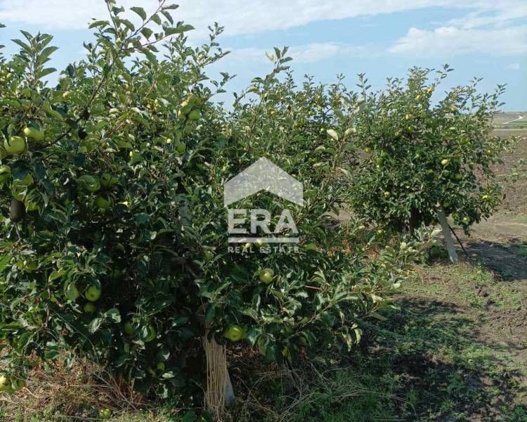 Продава се Парцел в Ахелой - 4000 кв.м за 11 €/кв.м - Снимка #1