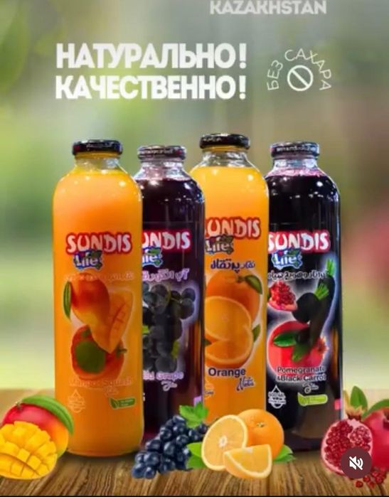 Натуральные соки SUNDIS