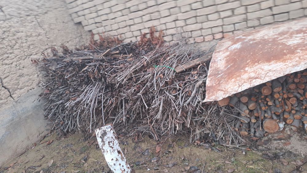 Утин сотилади кизиканларга