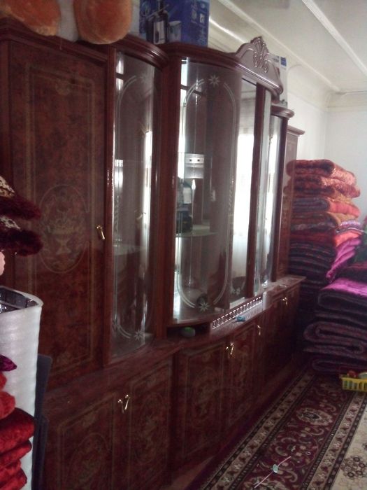 Stenka sarpaga olingan