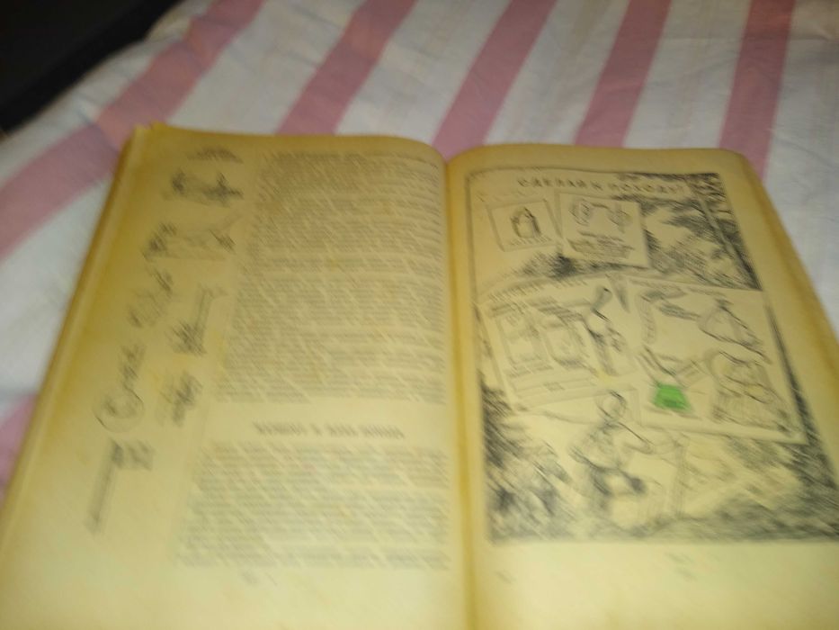 Книга Вожатого 1954