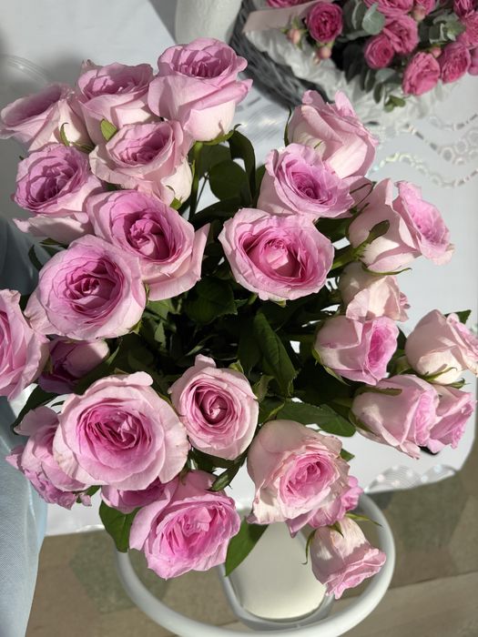 Продам цветы разные виды