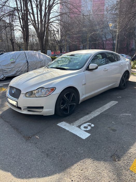 Jaguaaaar xfffff