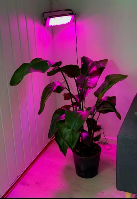 100w,200w,300w Прожектор за бърз растеж,Разсад,Фито лампа,Растения,Лед