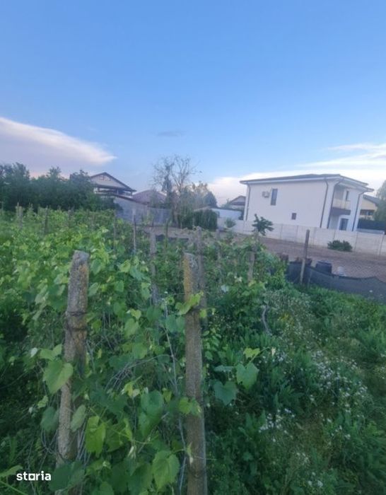 Teren intravilan 714mp, Carcea intre case , toate utilitatile !!!