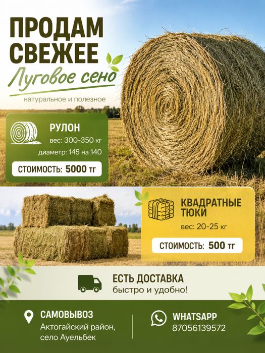 Продам сено луговое
