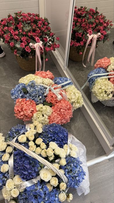 Срочно продаю цветы, они свежие