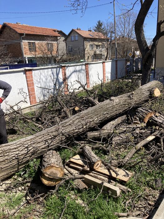 Почистване на запустели терени.