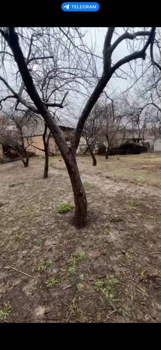 Тошкент вилояти Бостонлик. Тумани Нанай КФЙ