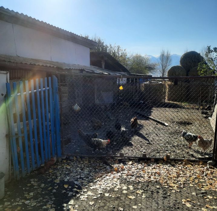 Продаётся дом в с.Шубар в Кербулакском районе