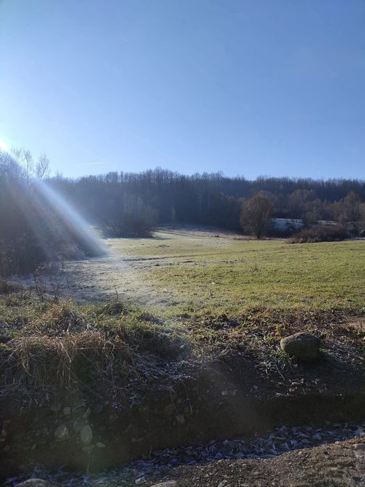 Vand Casa la tara cu 5 Ha teren in jud Hunedoara