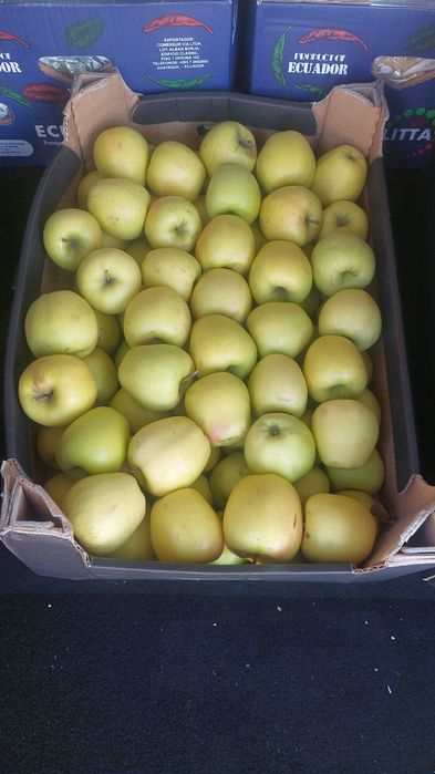 Обыш,Фрутти даставка жасаймыз