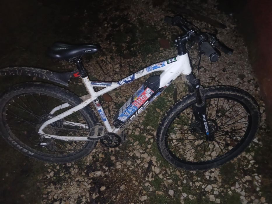 Bicicleta electrica prophete