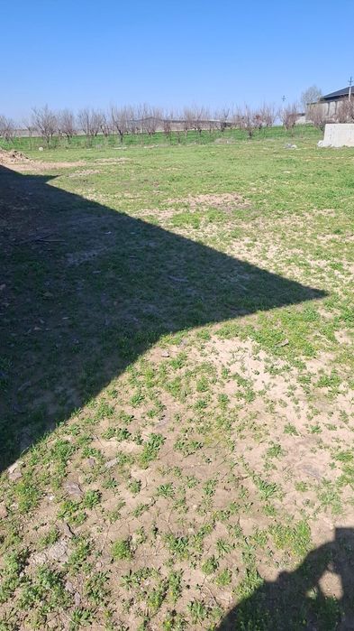 Участок 8 соток сайрамская улица 65