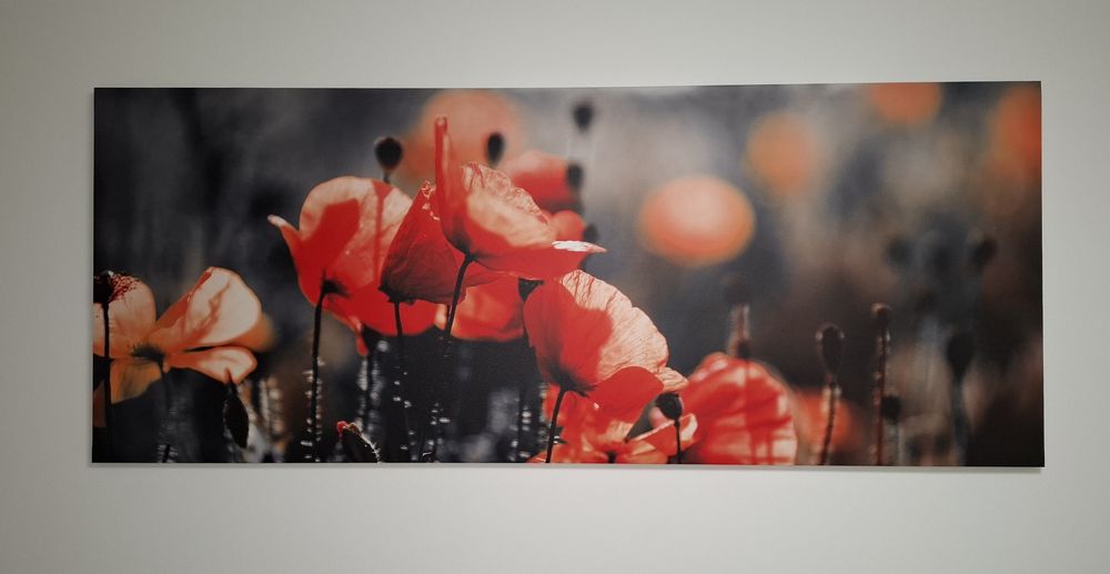 Canvas tablou maci 200x80