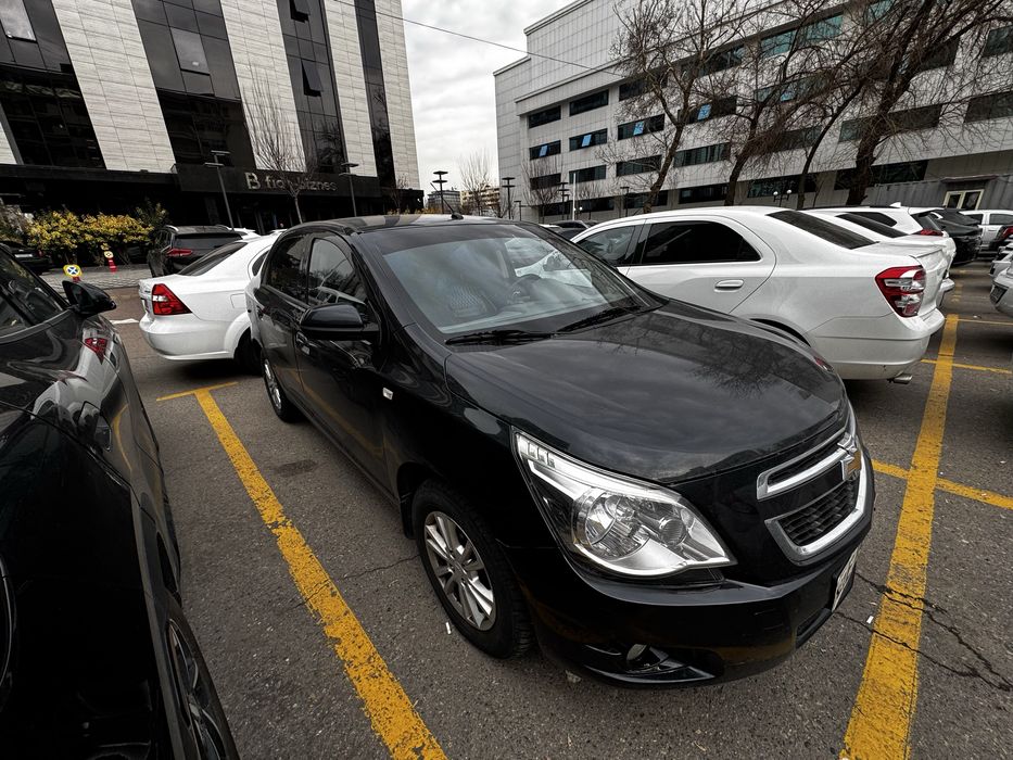 Cobalt Darkmoon Blue