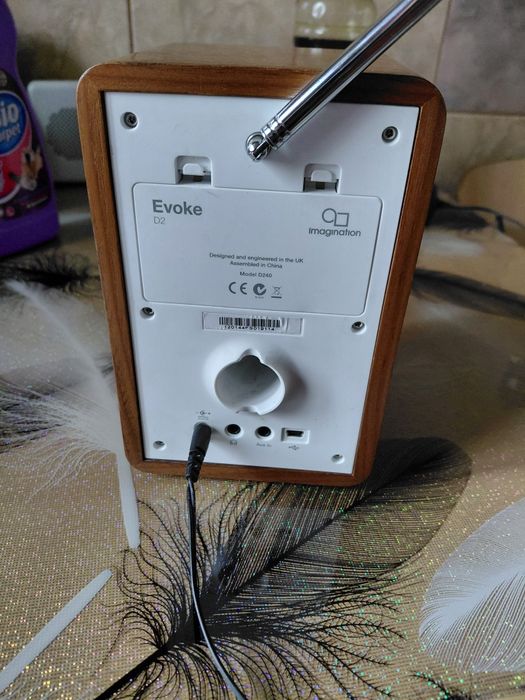 Vind radio Pure evoke d2