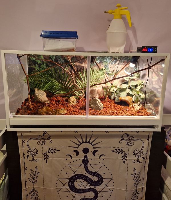 Террариумы для животных